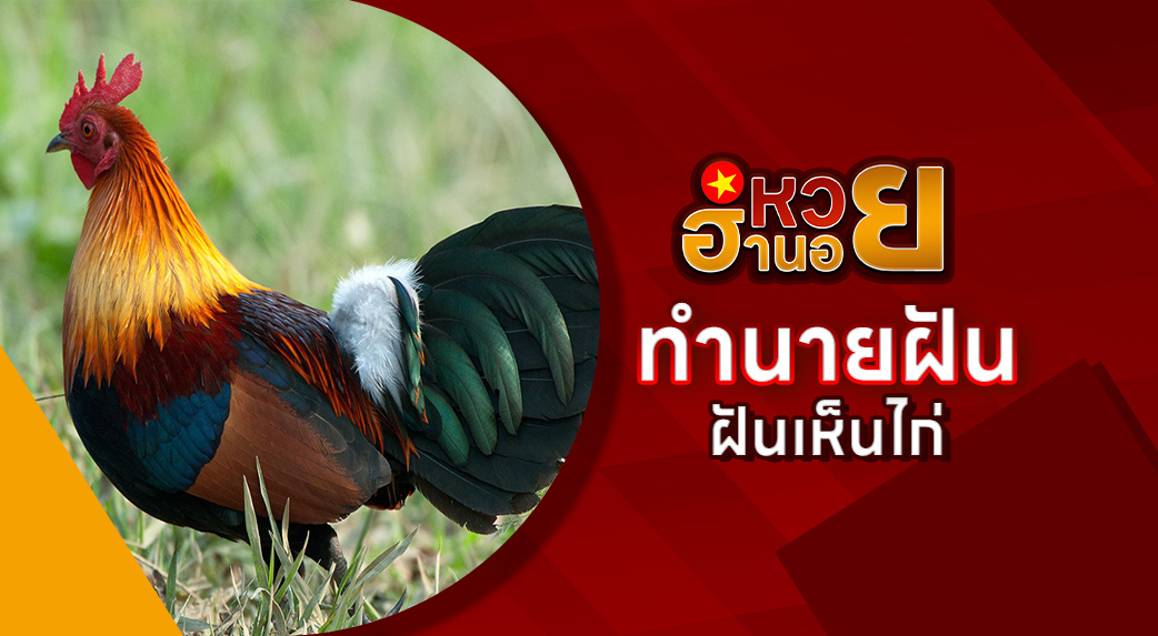 ฝันเห็นไก่