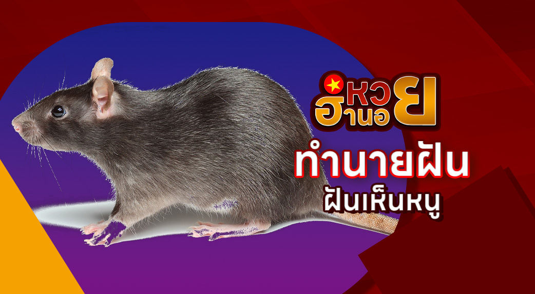 ฝันเห็นหนู