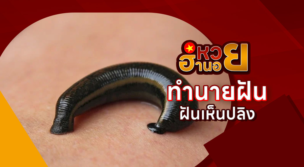 ฝันเห็นปลิง