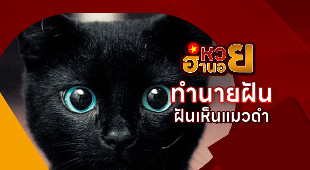 ฝันเห็นแมวดำ