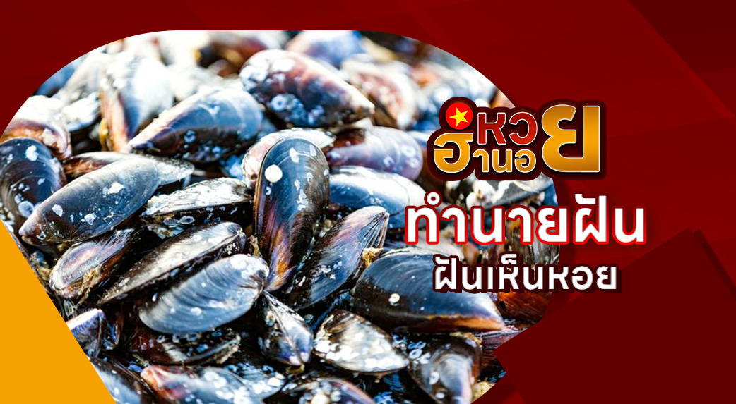 ฝันเห็นหอย