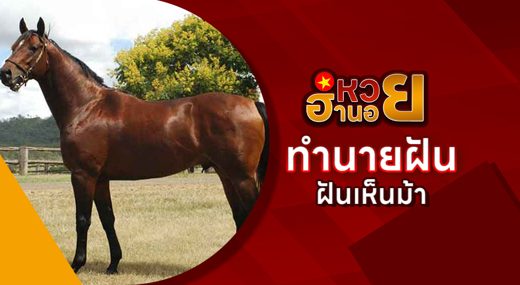 ฝันเห็นม้า