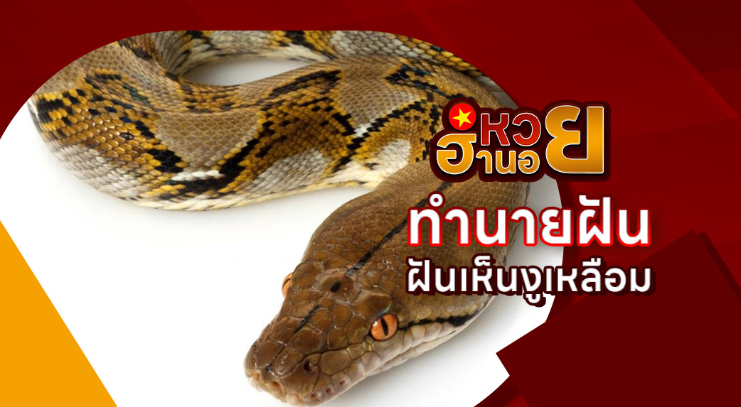 ฝันเห็นงูเหลือม