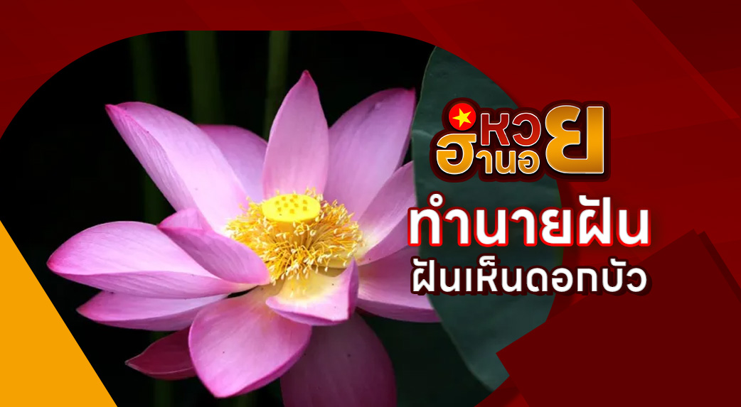 ฝันเห็นดอกบัว