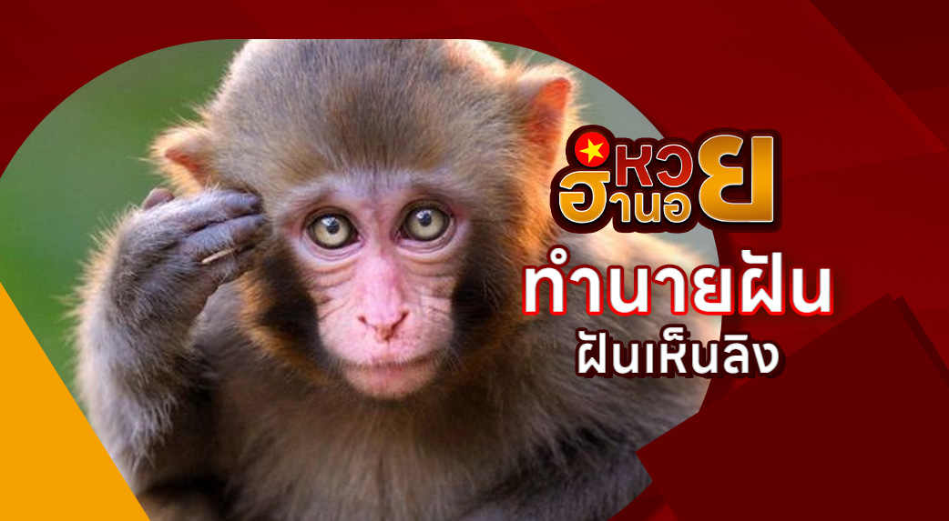 ฝันเห็นลิง