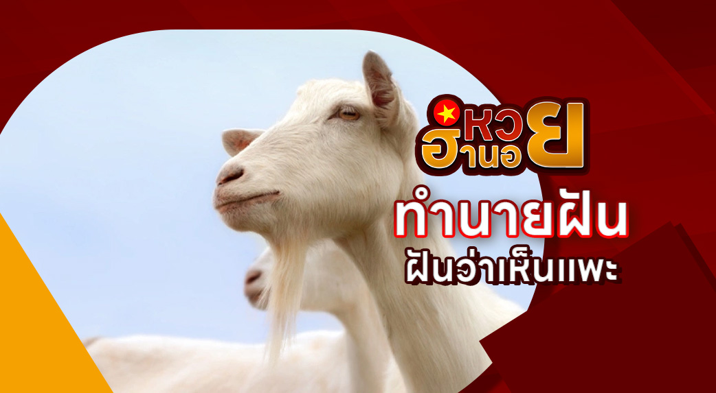 ฝันเห็นแพะ