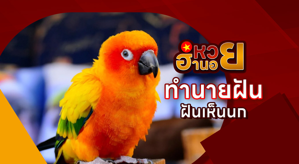 ฝันเห็นนก
