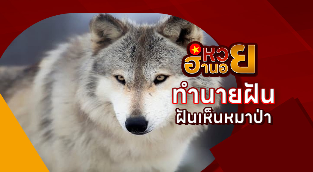 ฝันเห็นหมาป่า