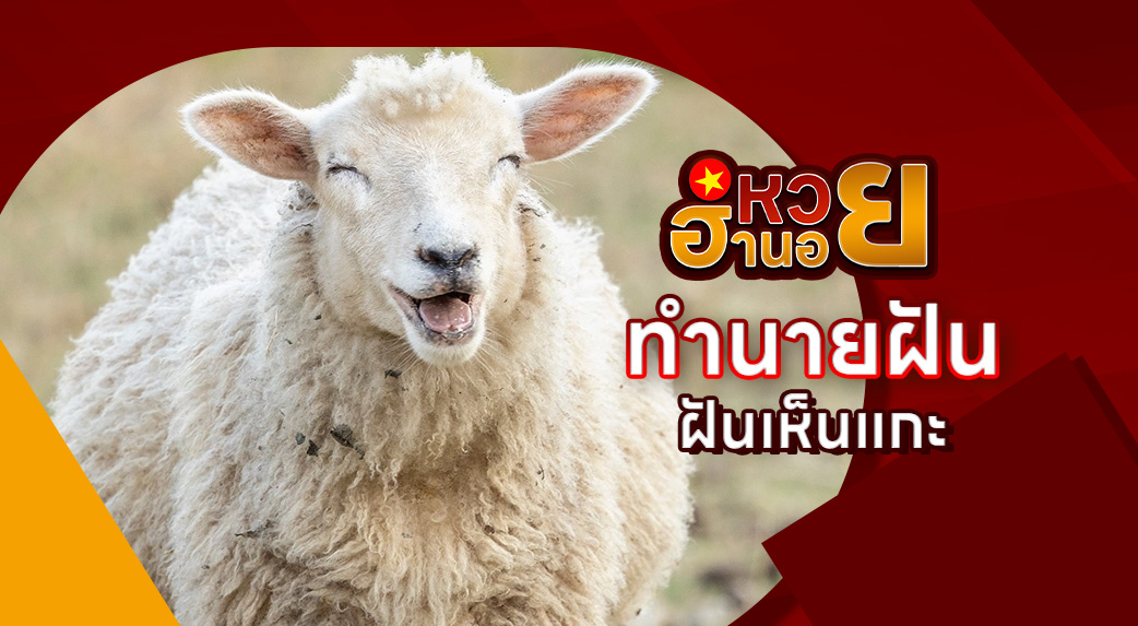 ฝันเห็นแกะ