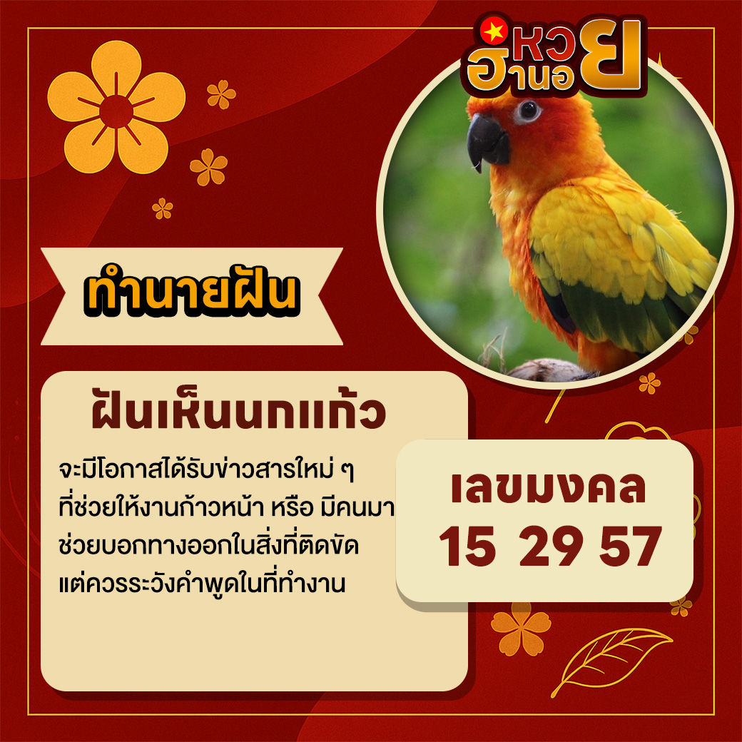 ฝันเห็นนกแก้ว