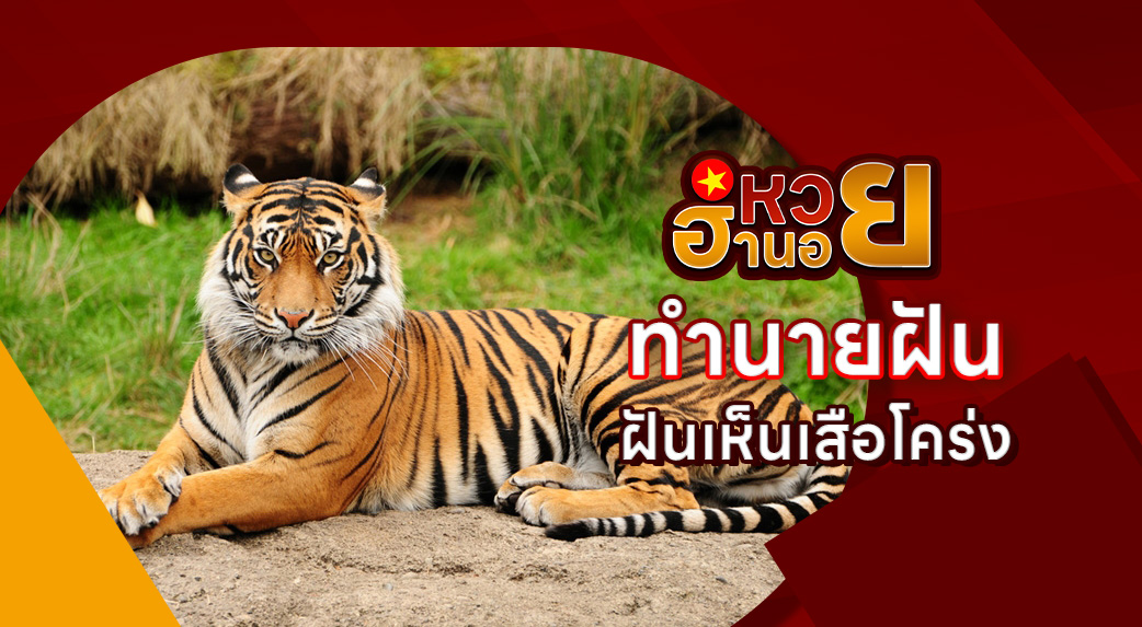 ฝันเห็นเสือโคร่ง